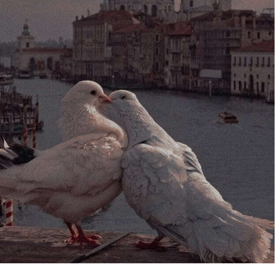 徐逆霜