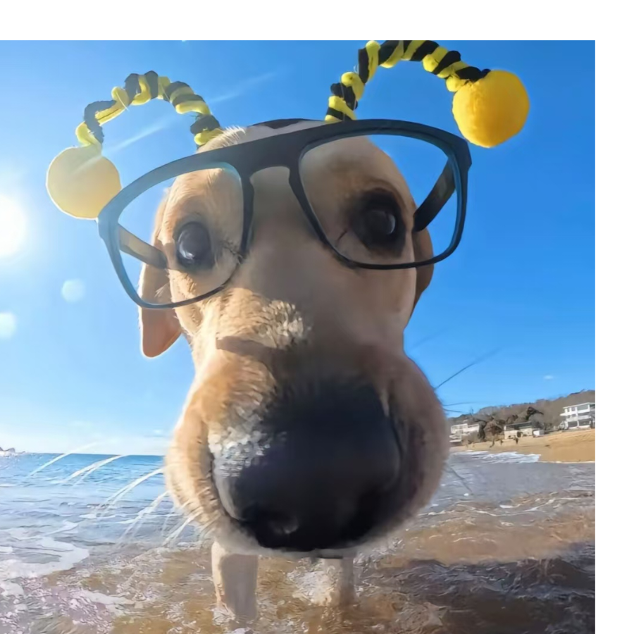 您的档案已登出