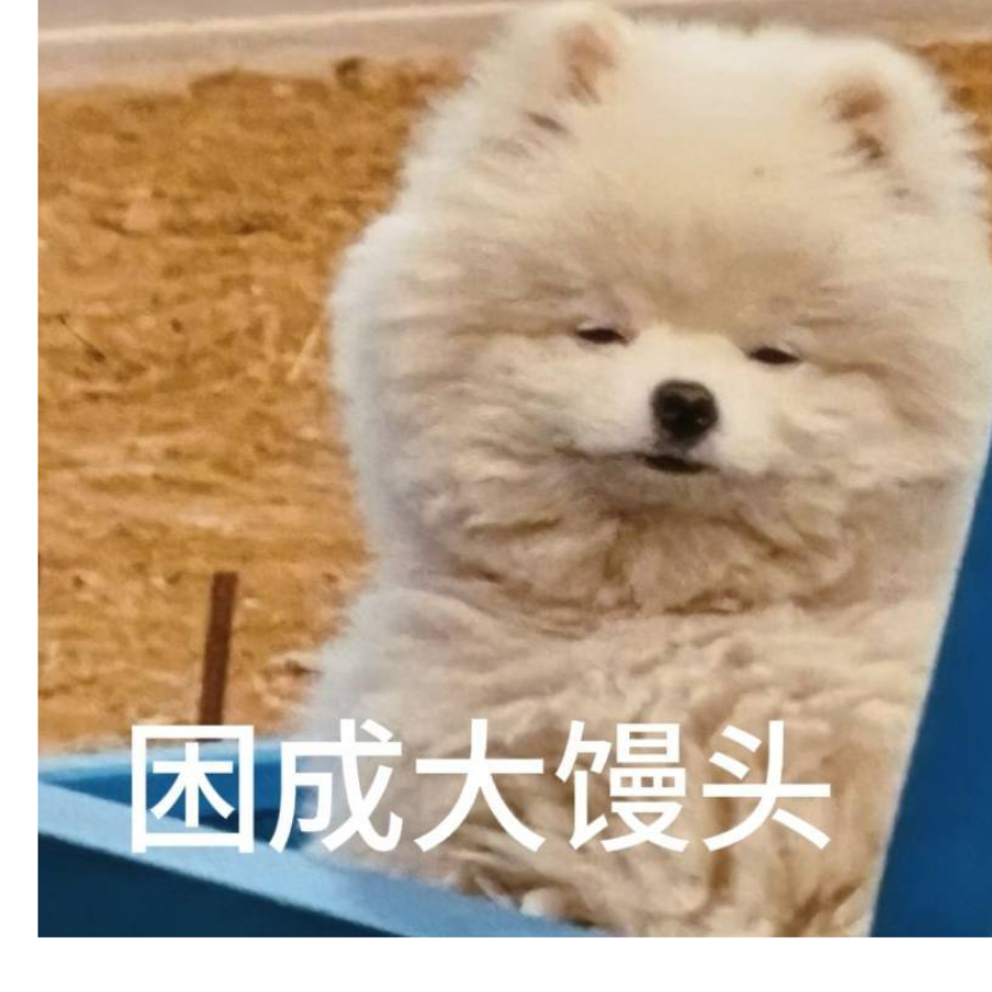 熠秋樾