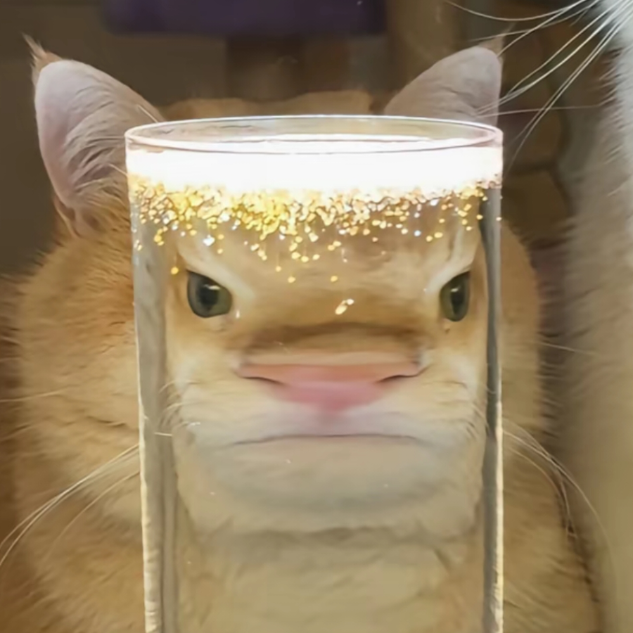 游龙当归海