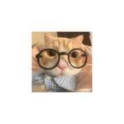 爱冒险的痞老板