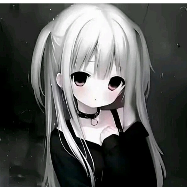 念宝