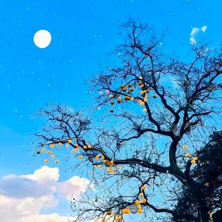 云间绘晚星