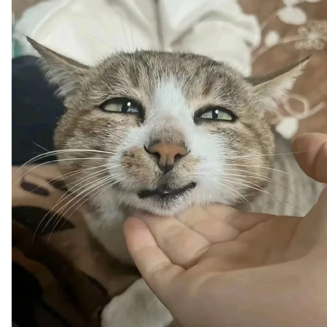 琉璃瓦
