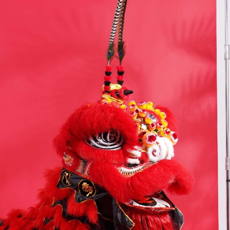 念心入梦