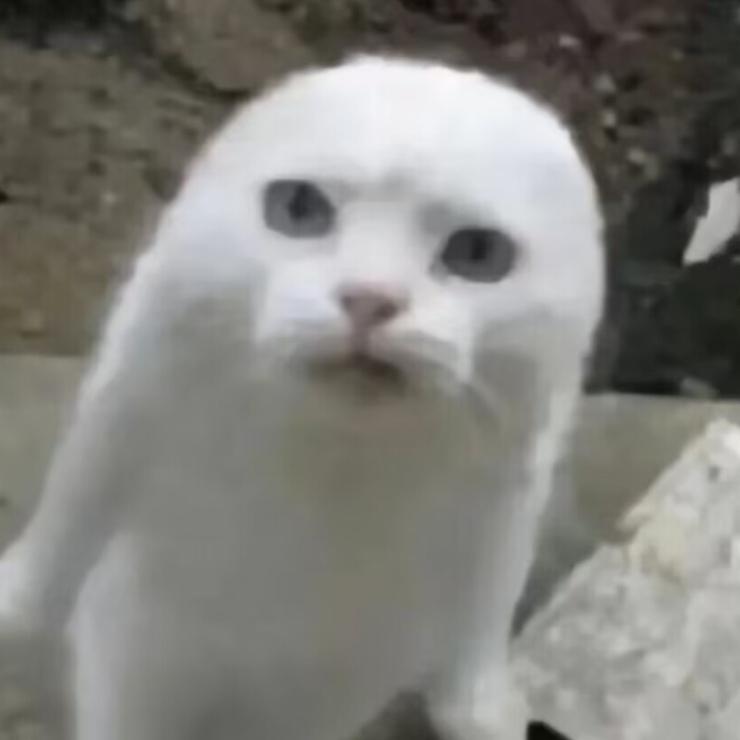 养乐多