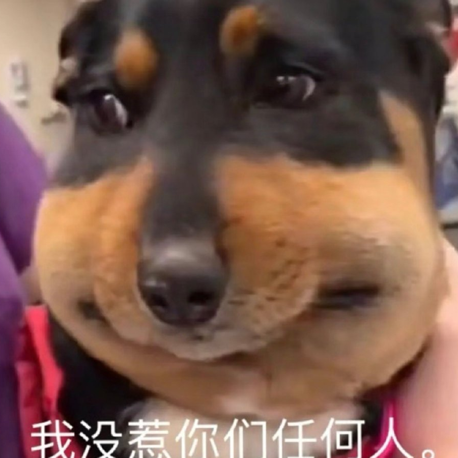 小马冲冲🐛