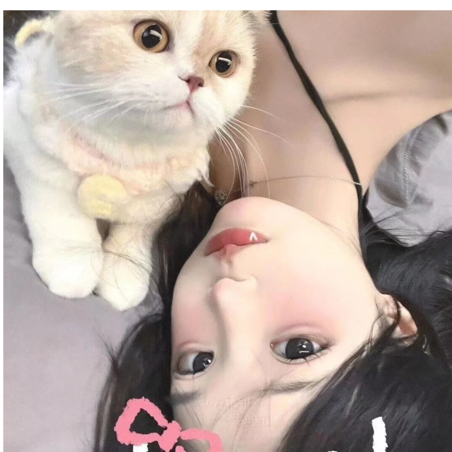 5灰灰