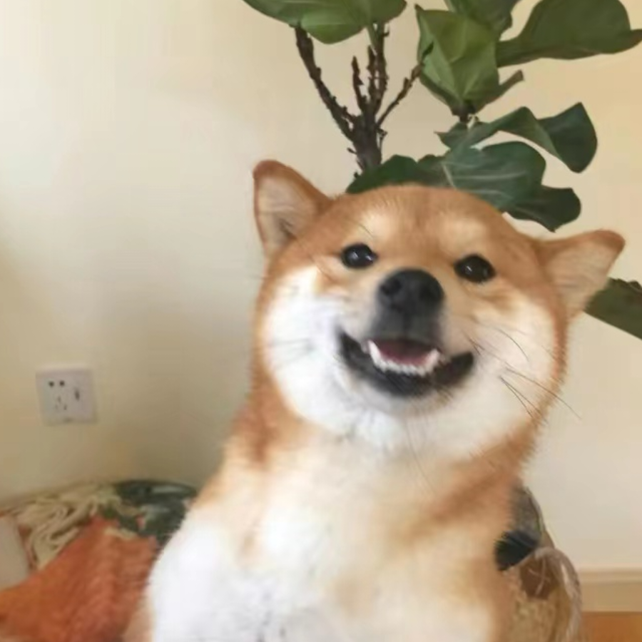 你不懂我