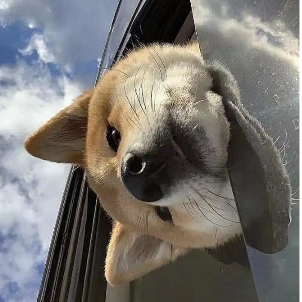 东隅