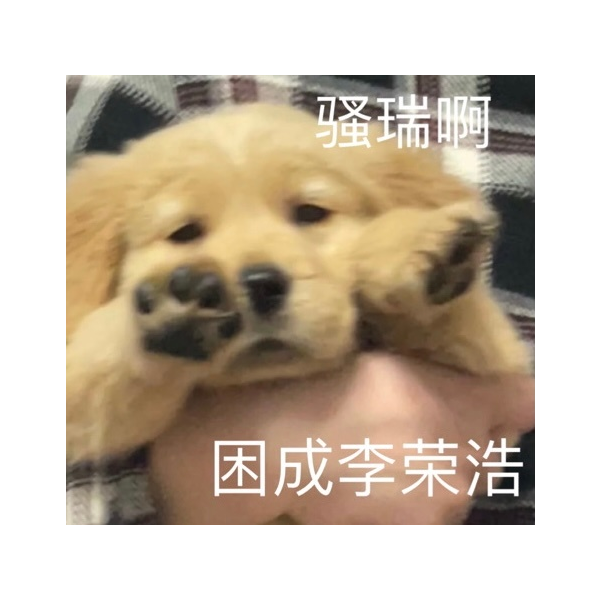 。。