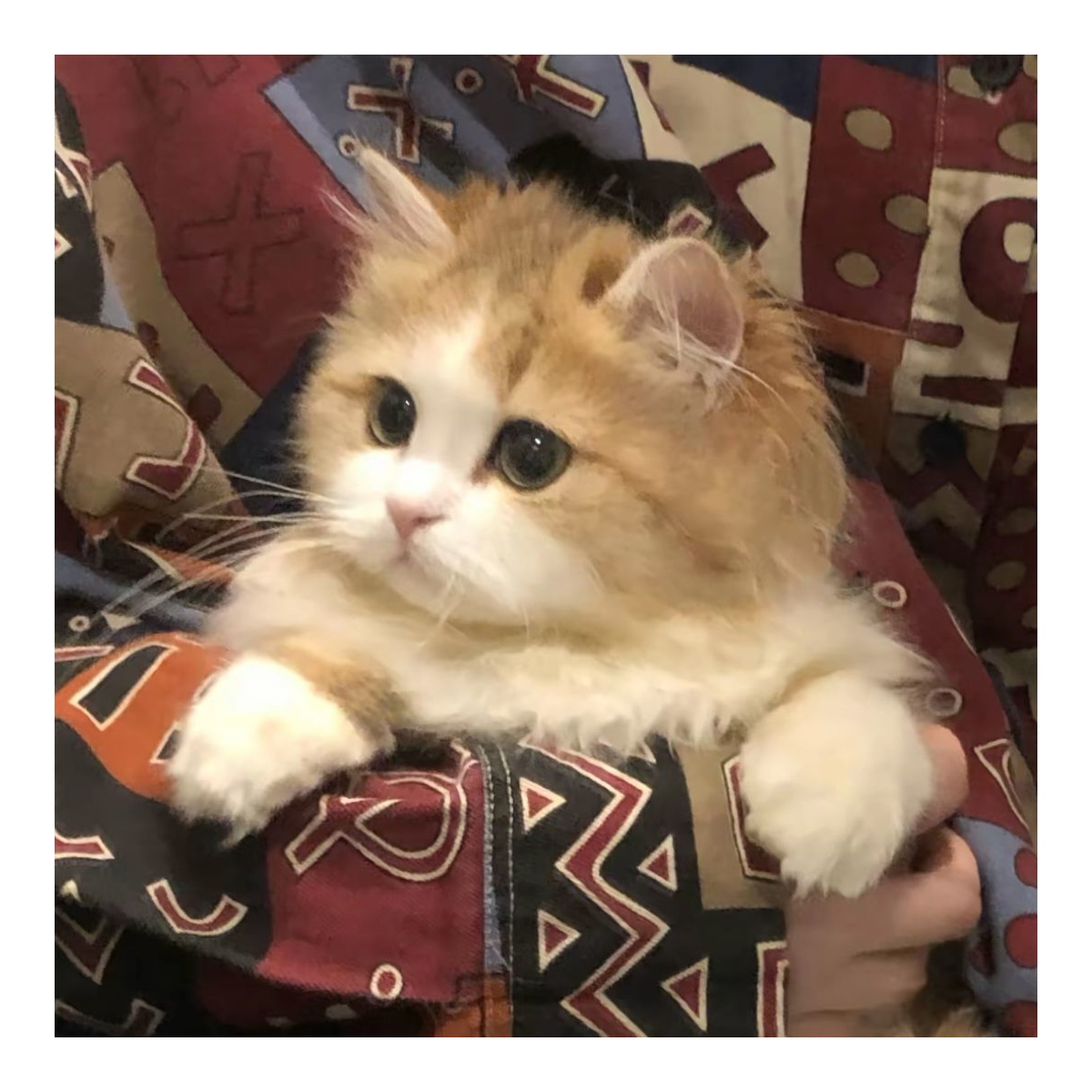 耶～？