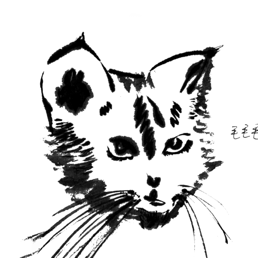斯锅意