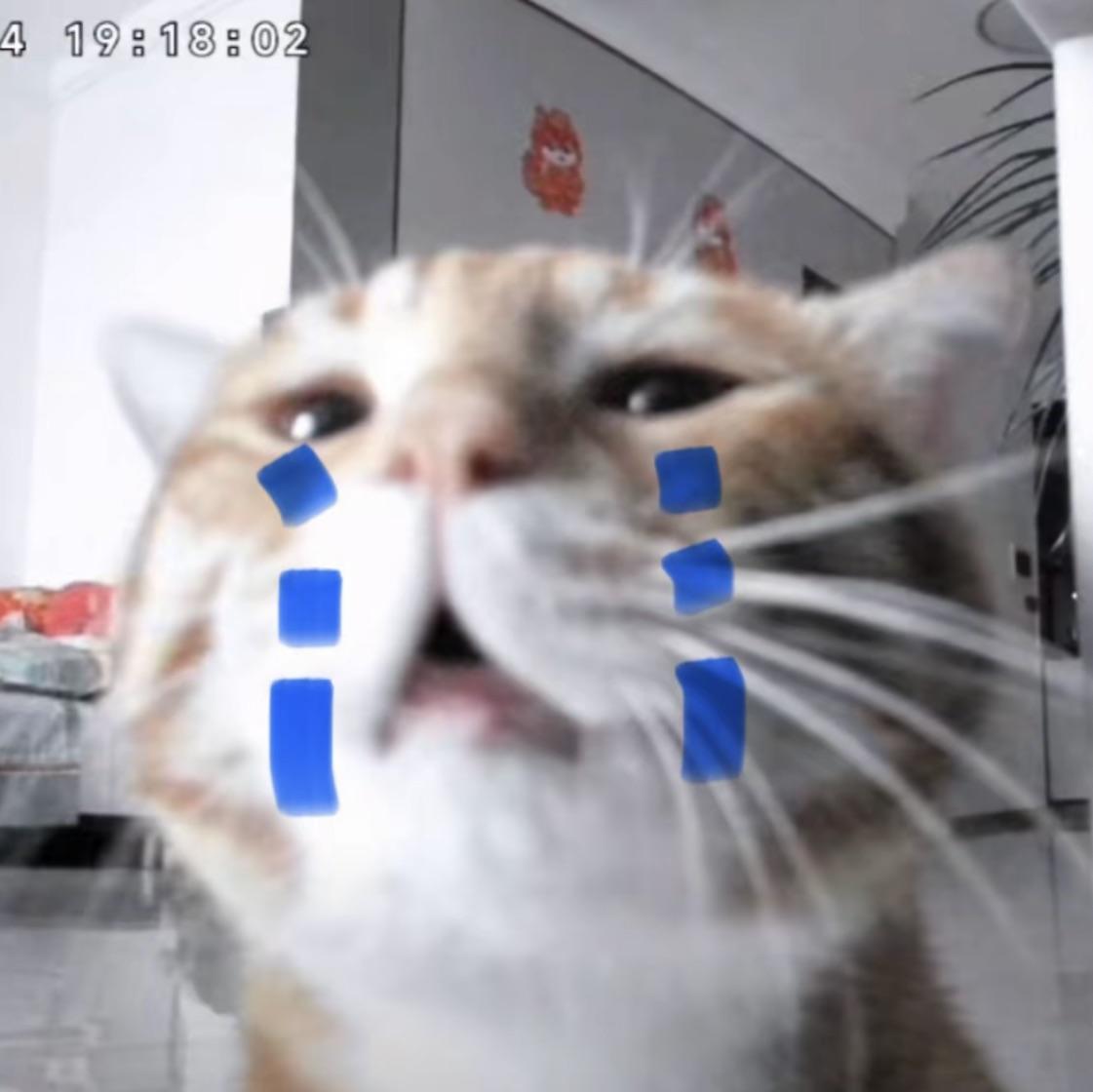 殿下