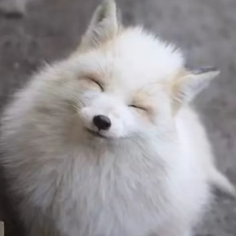 耽宁