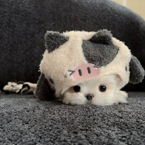 小