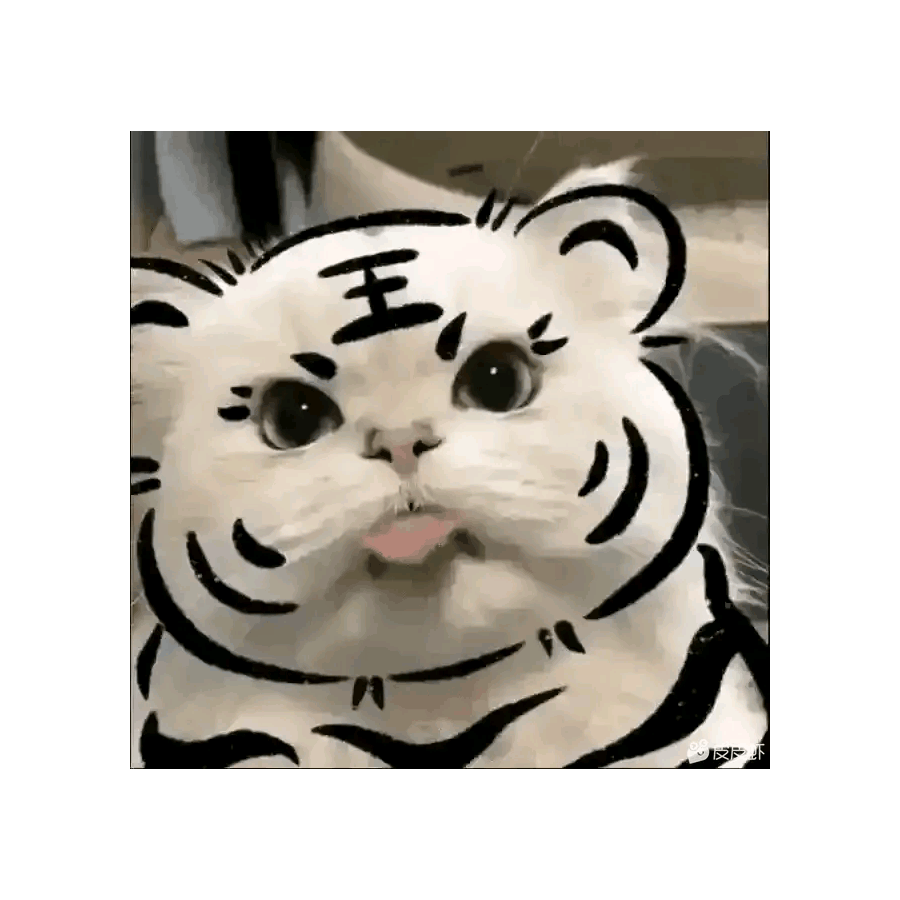 偶是只喵