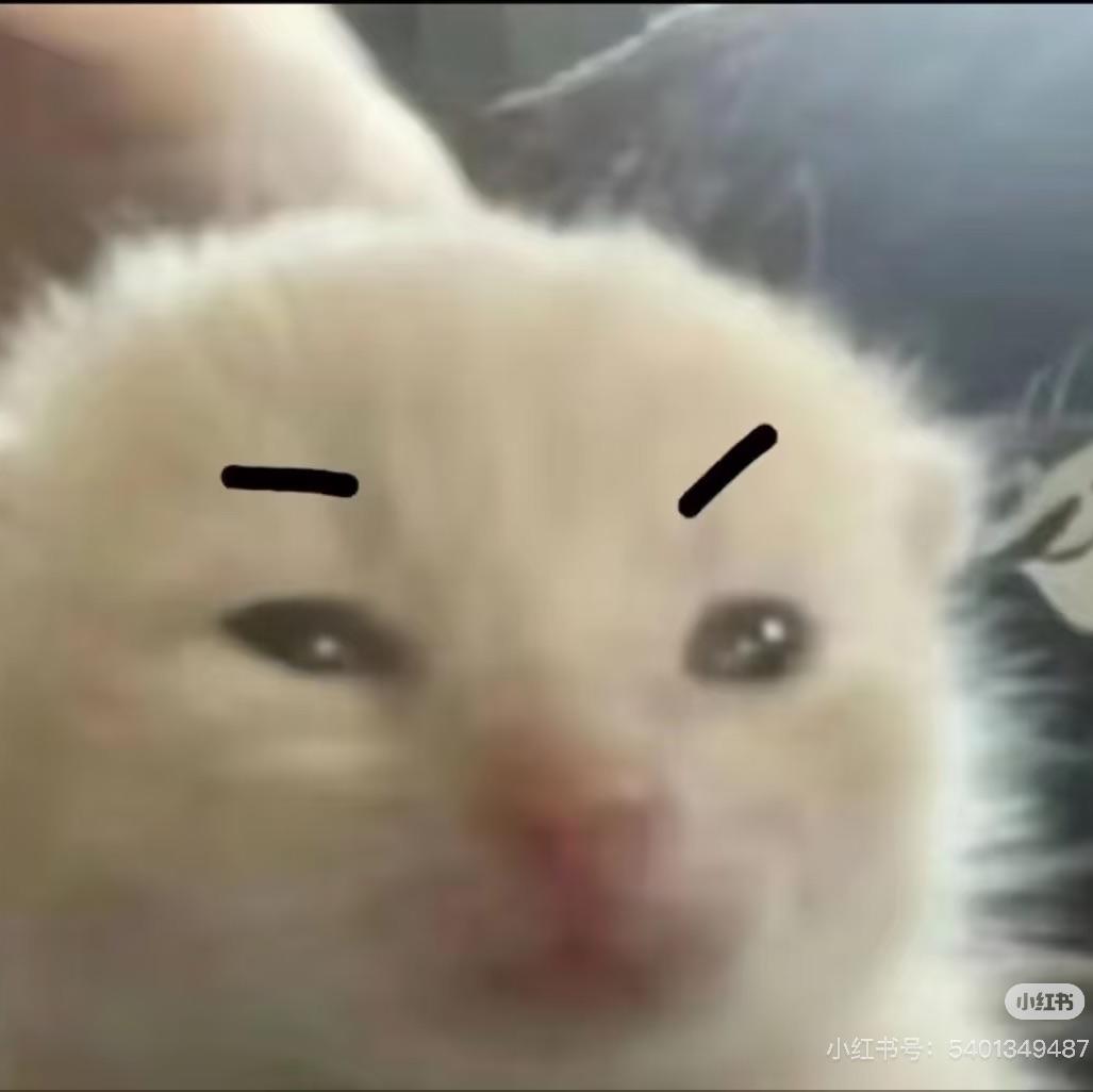 旺旺碎冰冰