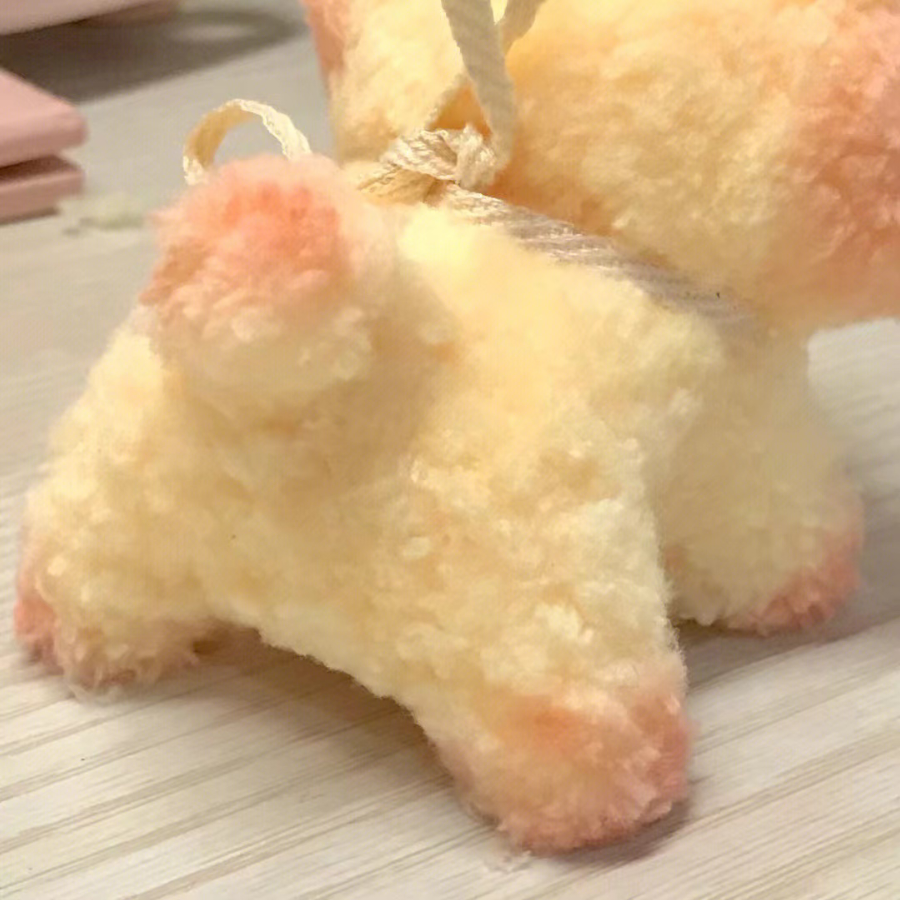 憨憨逗豆豆