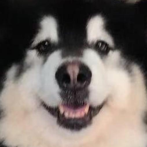 丶