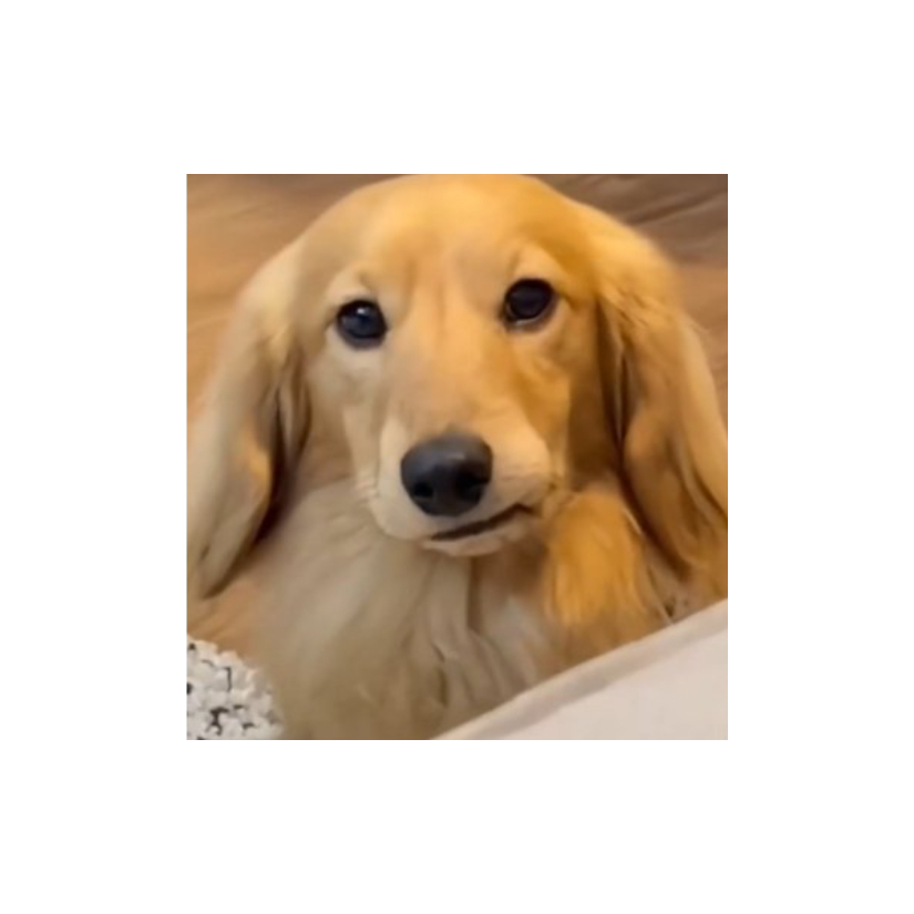 阿鑫是条咸鱼