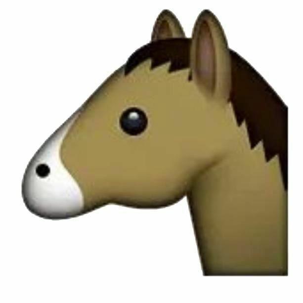 一匹马🐴（游戏评测版
