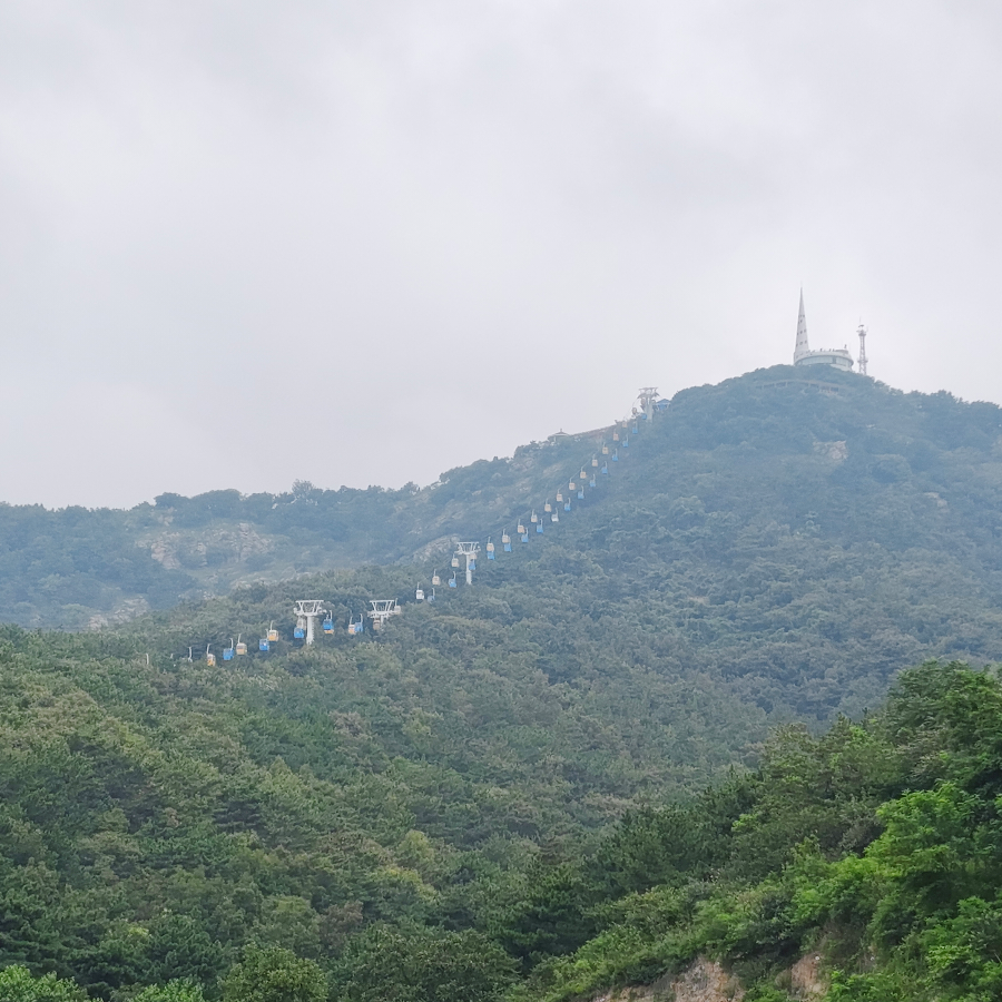 米哈游让我双金吧