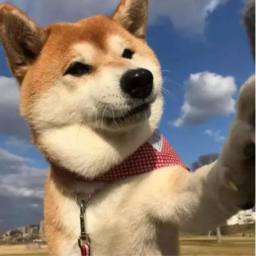 二向箔