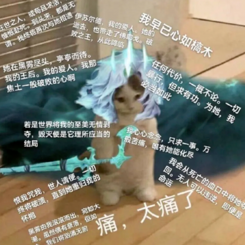 孤立无援的是我