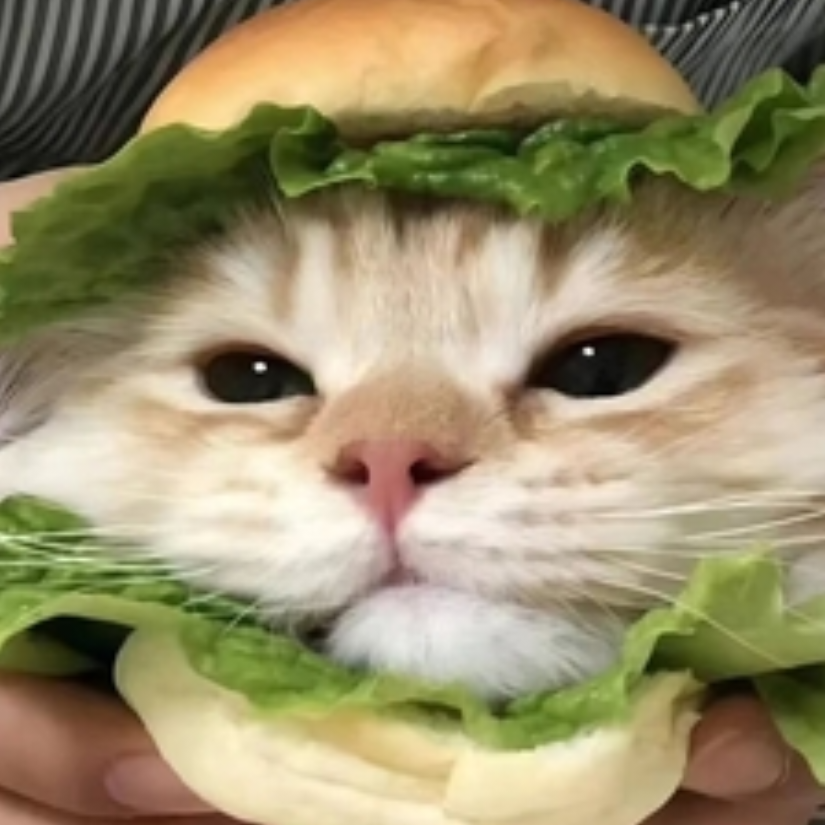 Hy'/