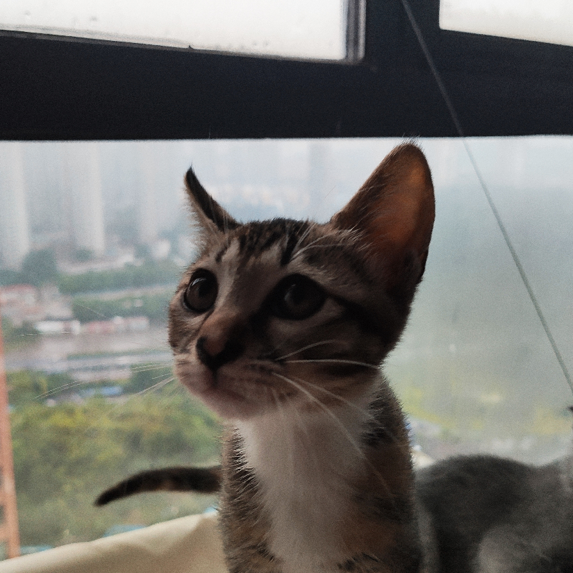 何处云间