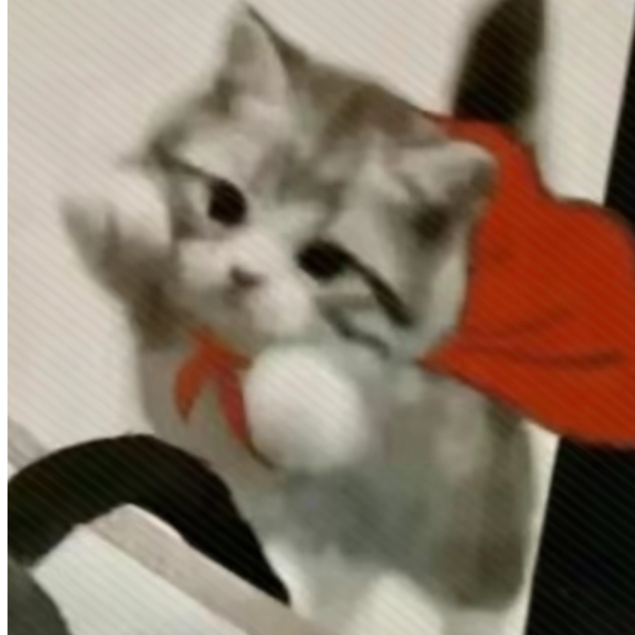 挚爱萱