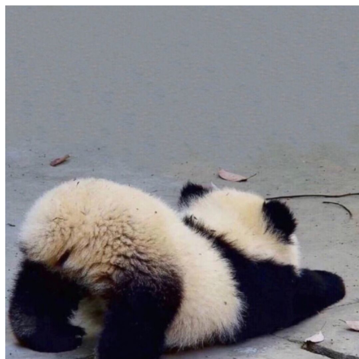 小江小江