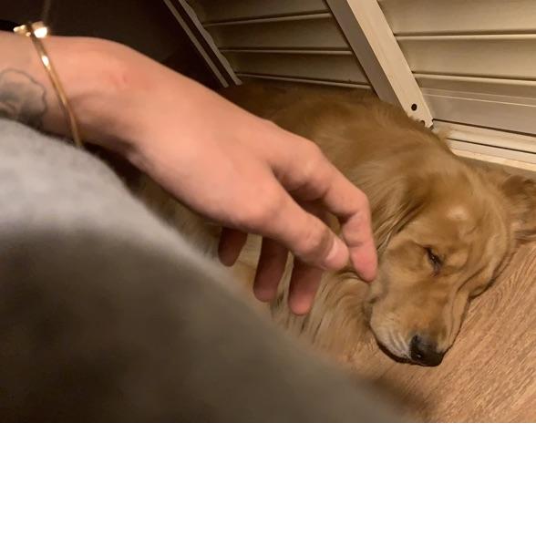 情理