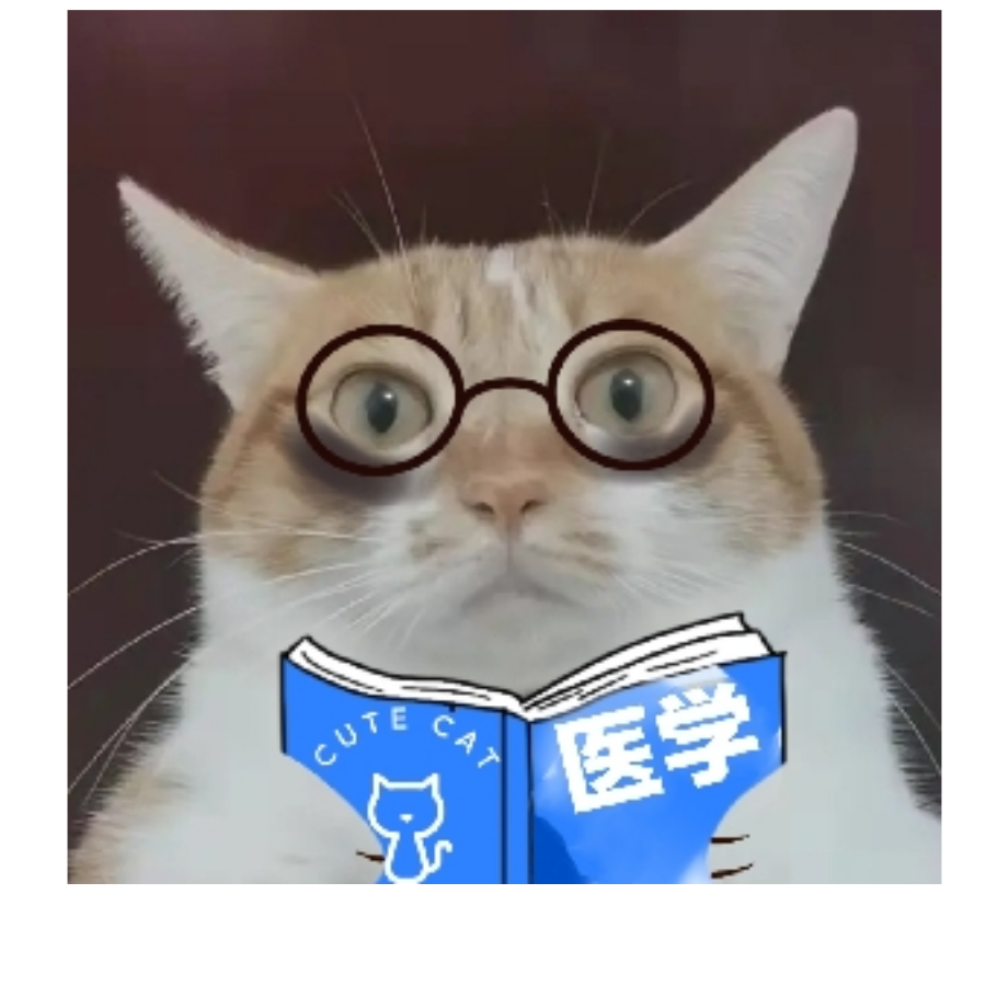 哈士奇乔鲁诺乔巴拿