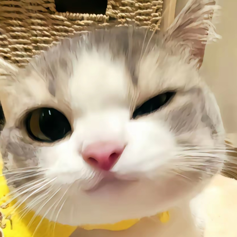 小鸭梨b