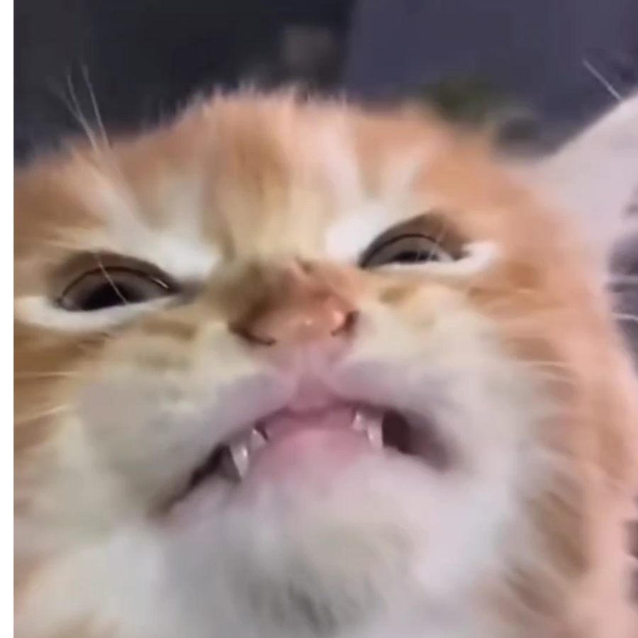 呃