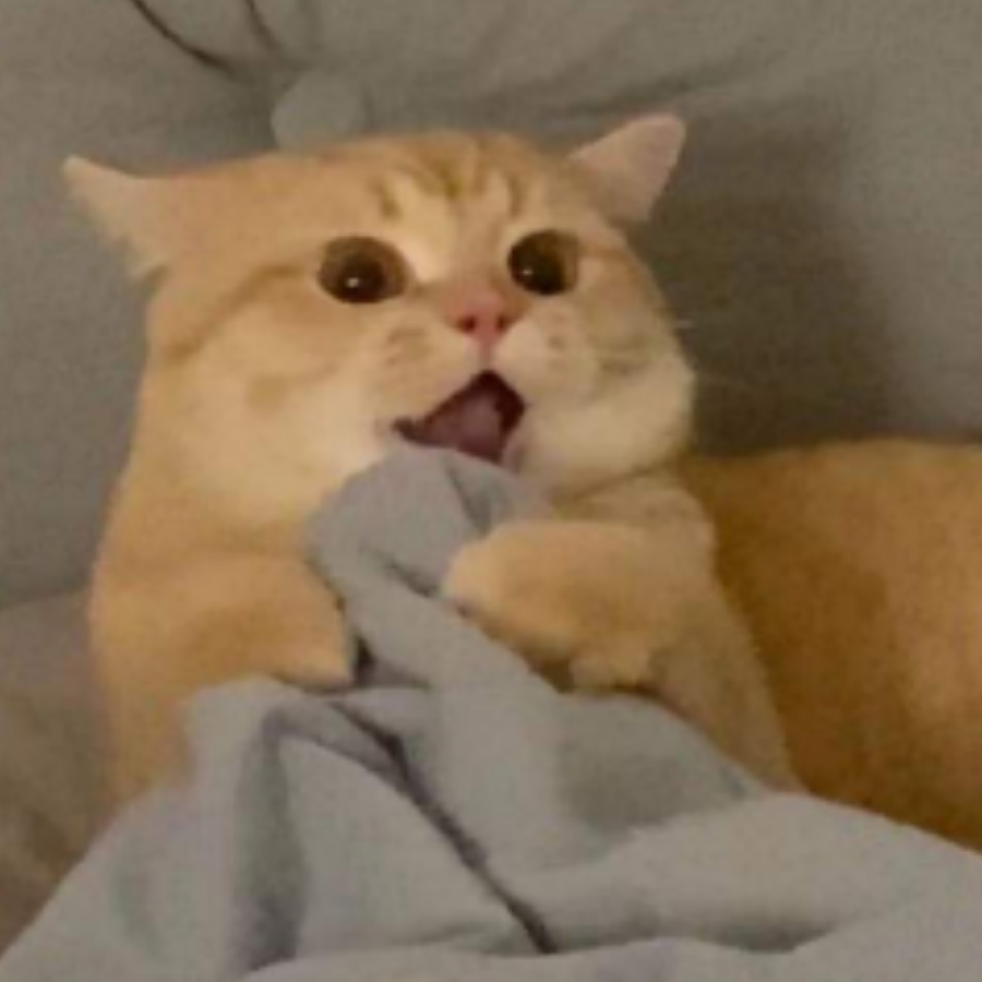 啾