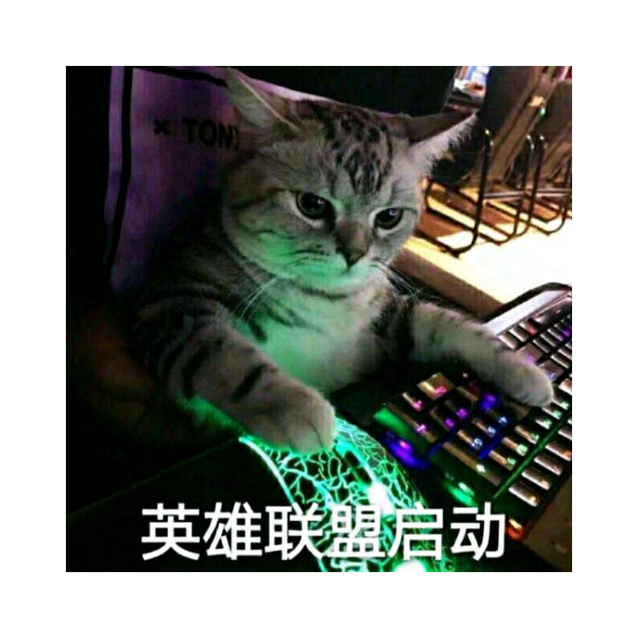 X白