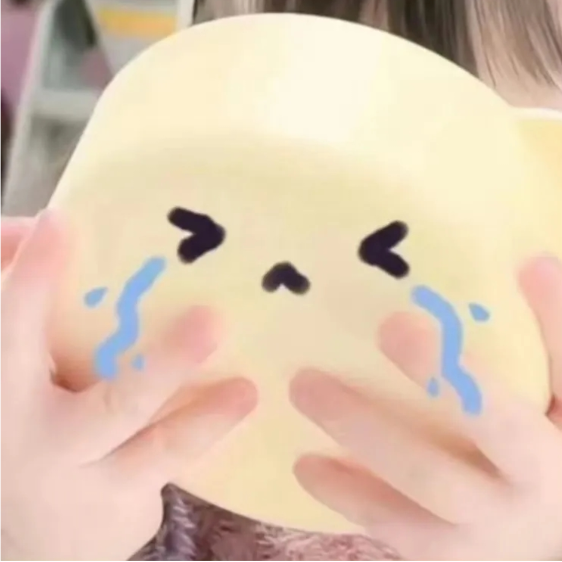 我在这里鸭