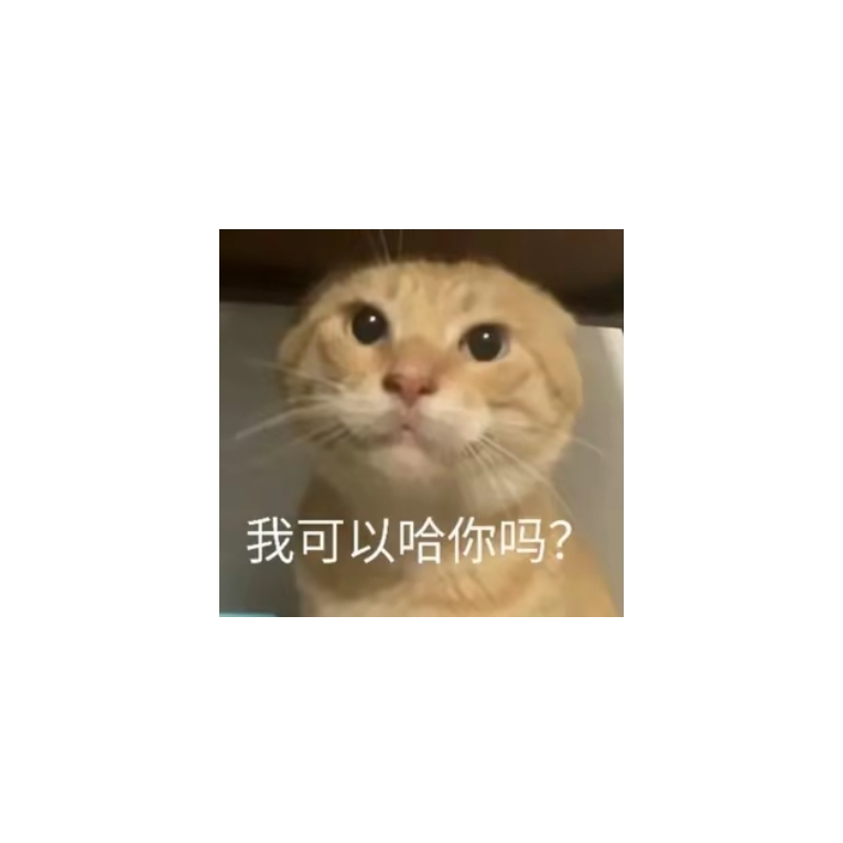 长夜孤灯影只寒