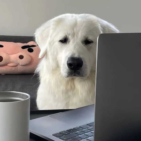 你