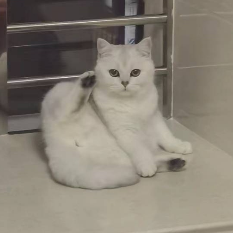 马里大大奥