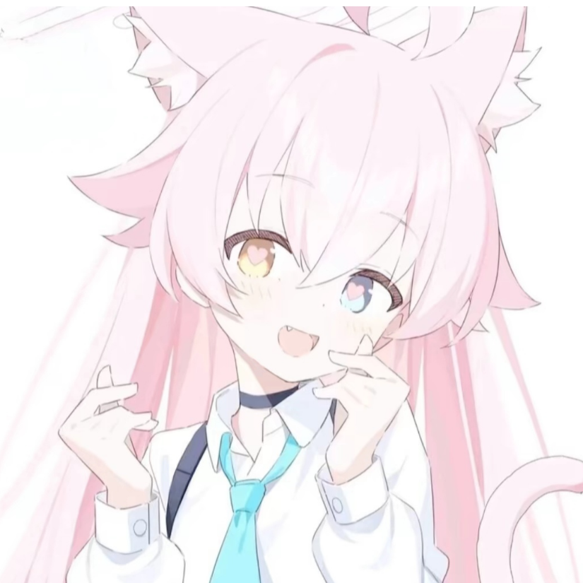 Precisety