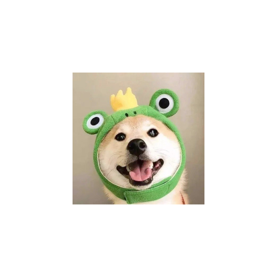 QQ