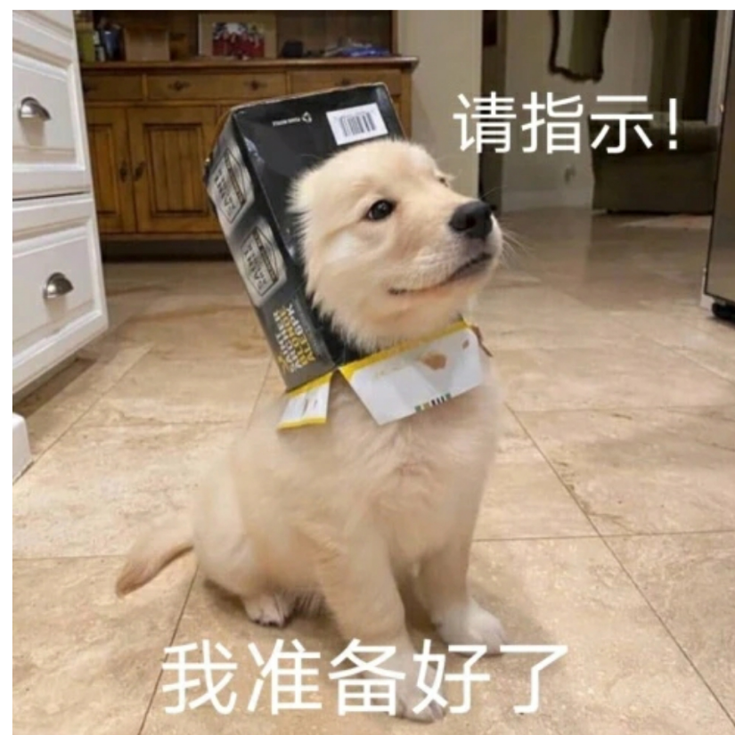 是你啊