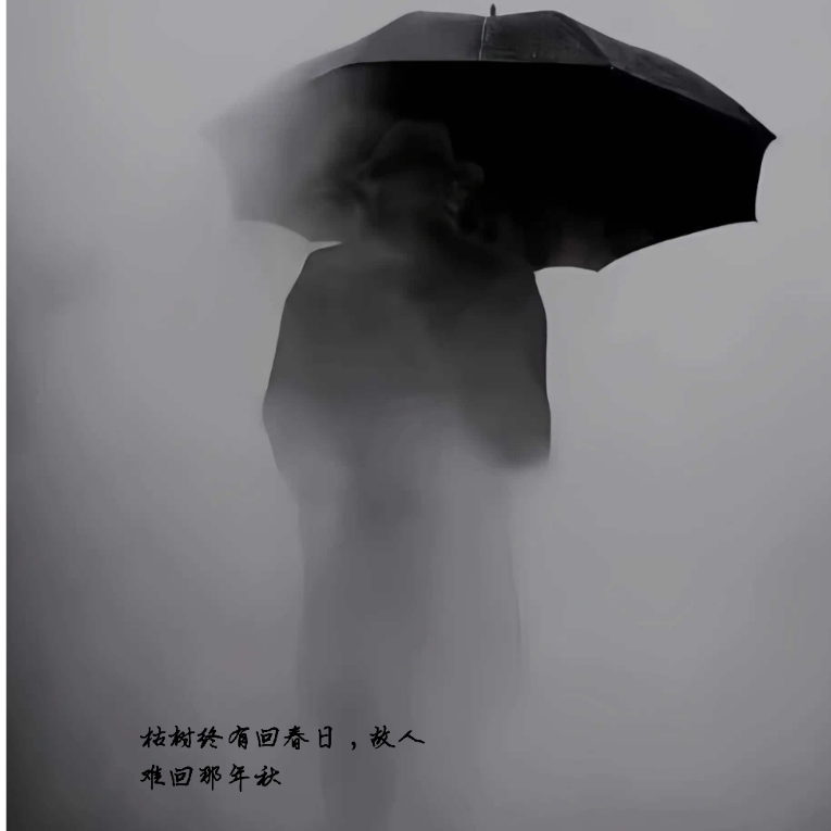 白鹿