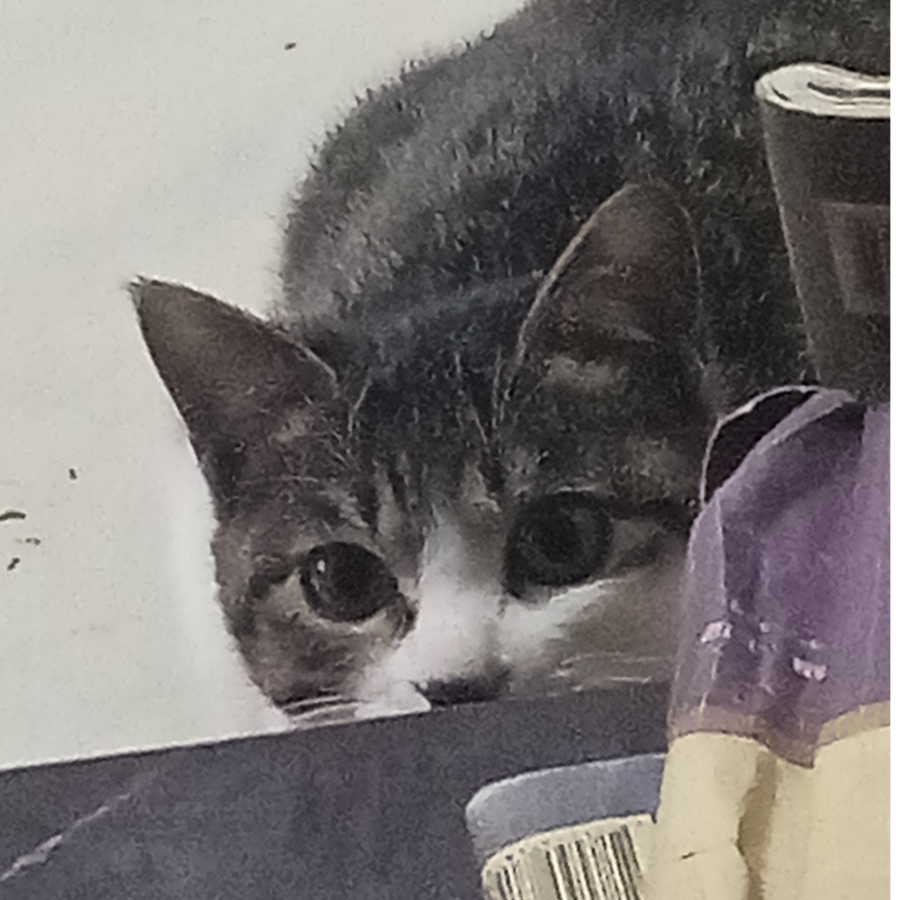 爷