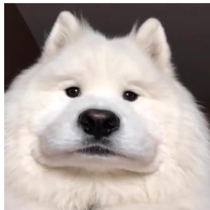 诩