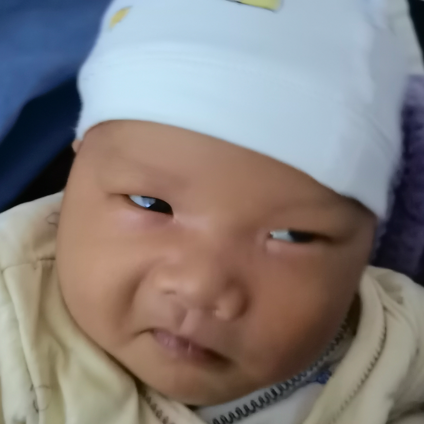 罗皮皮